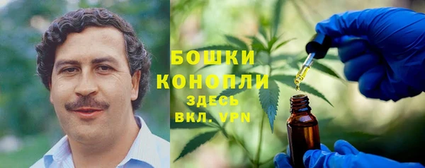 молекула духа Алексин