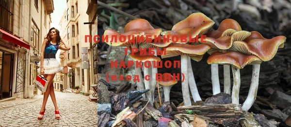 мескалин Алексеевка