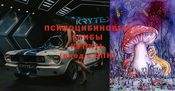 2c-b Алзамай