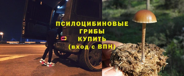2c-b Алзамай