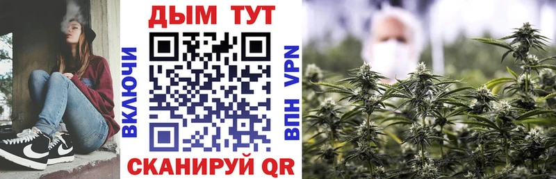 продажа наркотиков  Тейково  Канабис конопля 
